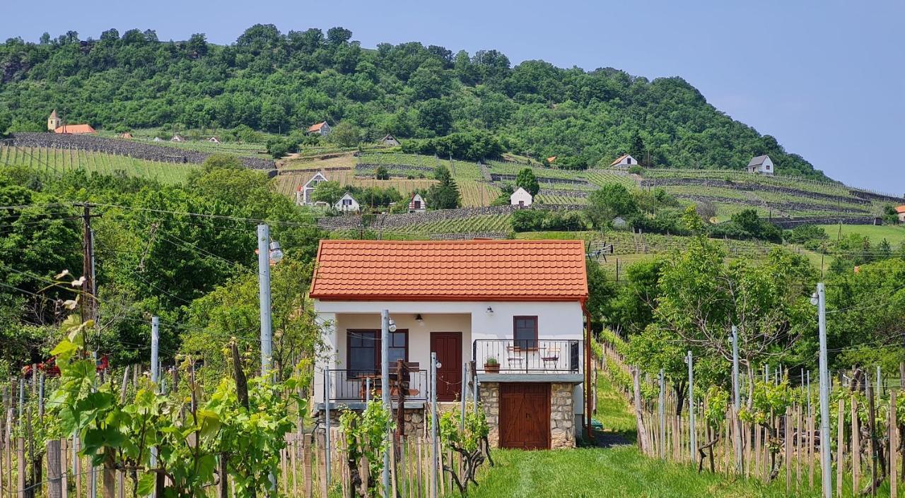 Jera Pince Es Vendeghaz Villa Somlovasarhely Exterior photo